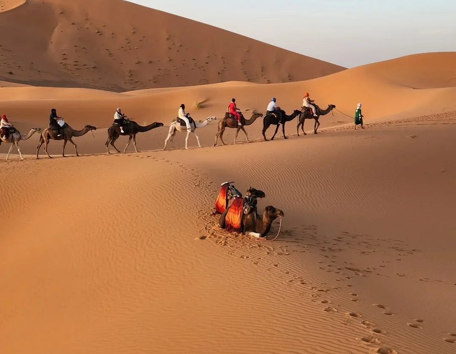 Caravana de camellos cruzando las dunas de Merzouga