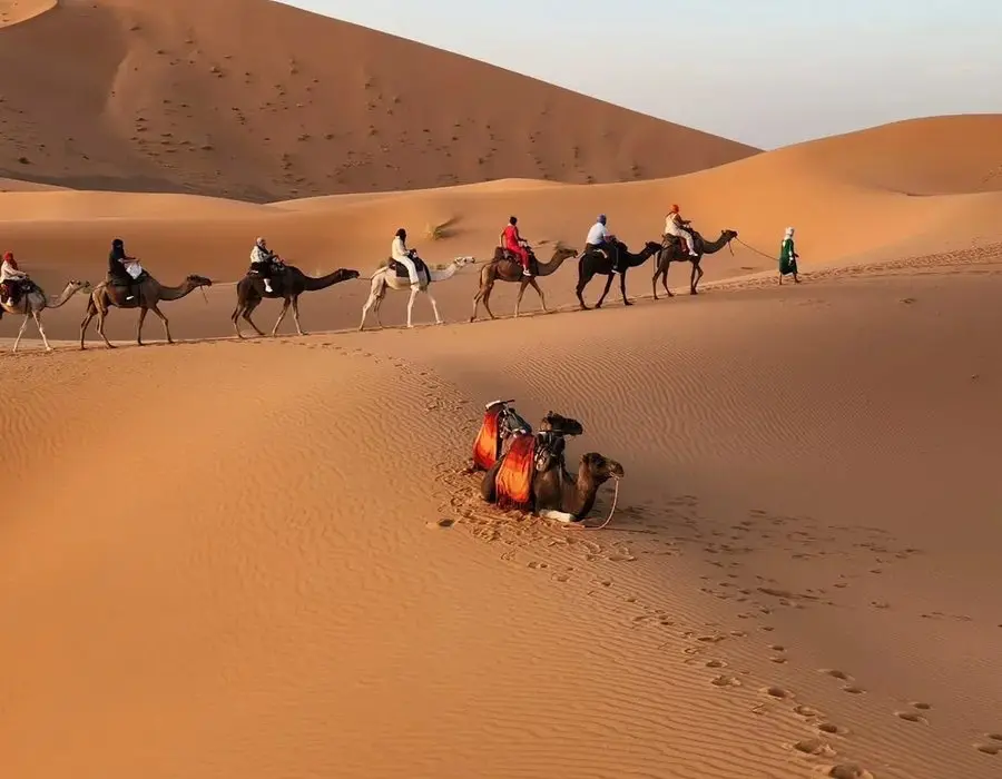 Caravana de camellos cruzando las dunas de Merzouga