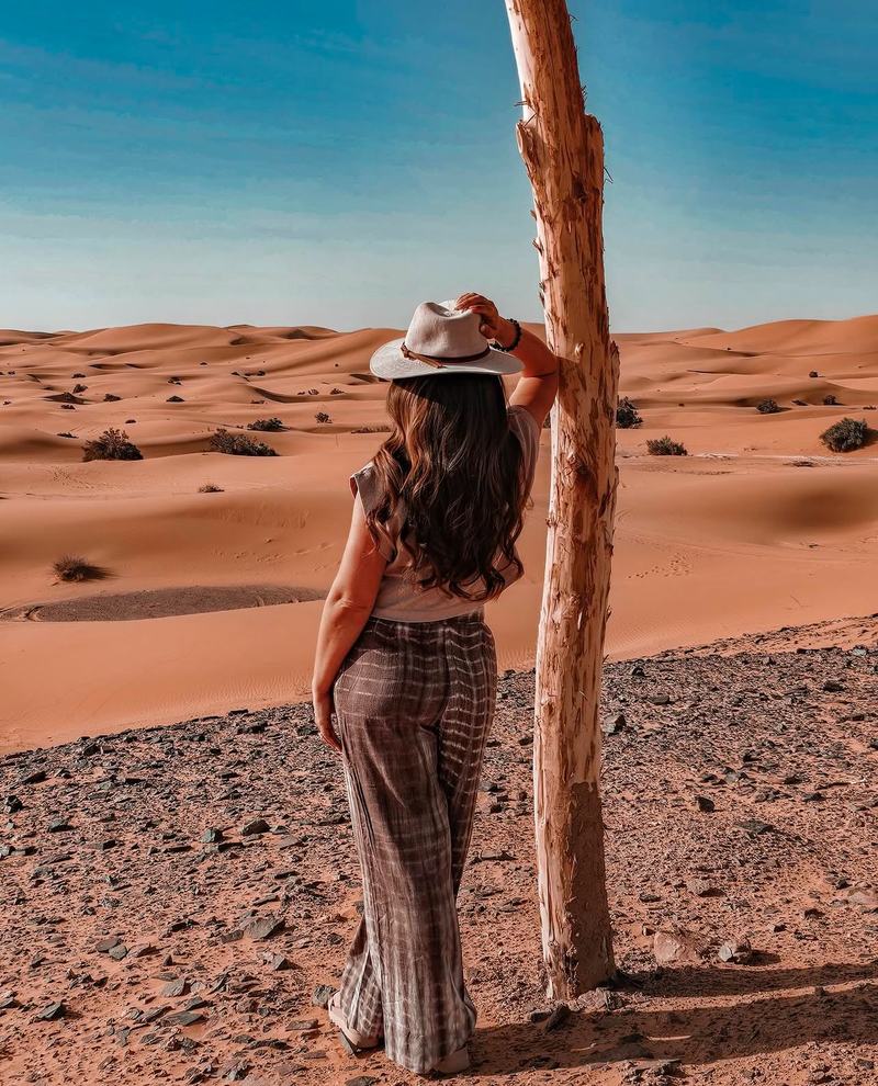Guía con camello en el desierto