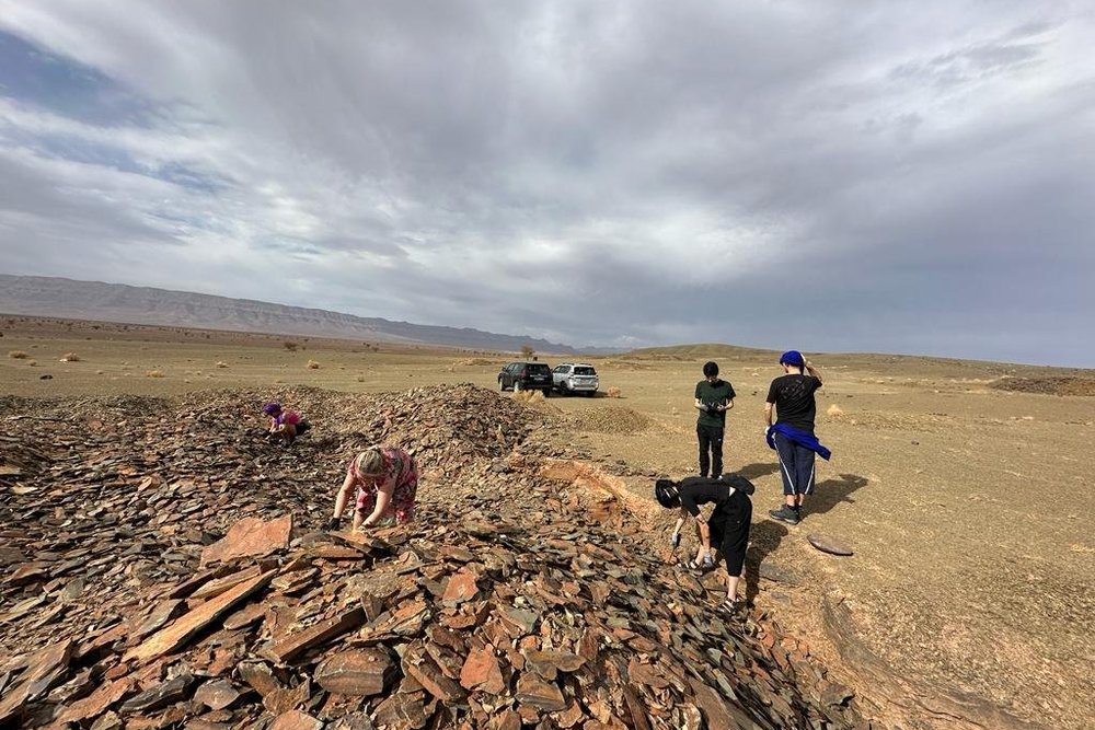 Expedición de fósiles y geología de 11 días desde Marrakech