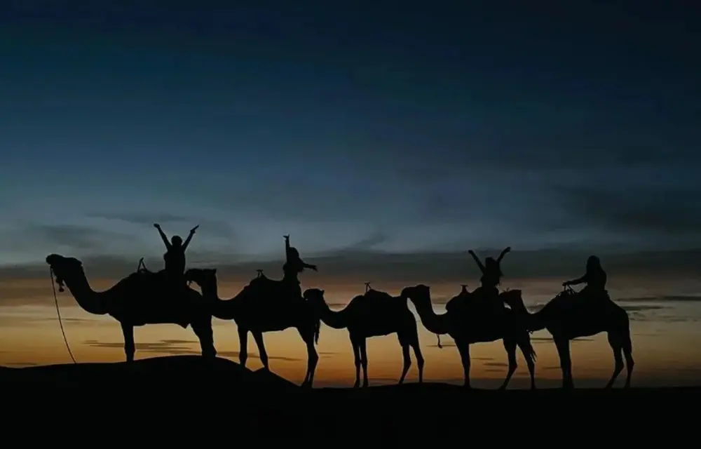 Tour de 6 Días desde Fez: A Marrakech por el Desierto